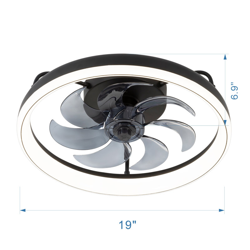 Jhonni 19" Ceiling Fans With Light Kit And Remote Control, Black