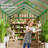 Outdoor Greenhouse with Aluminum Frame and Polycarbonate Panels, Roof Vents, Sliding Doors for Gardens and Backyards-128972798-128972800