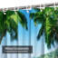 Beach Island Tropical Palm Coconut-168132494