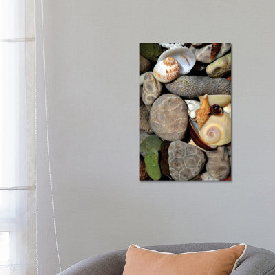 Petoskey Stones II 1 Piece Wrapped Canvas Wall Art