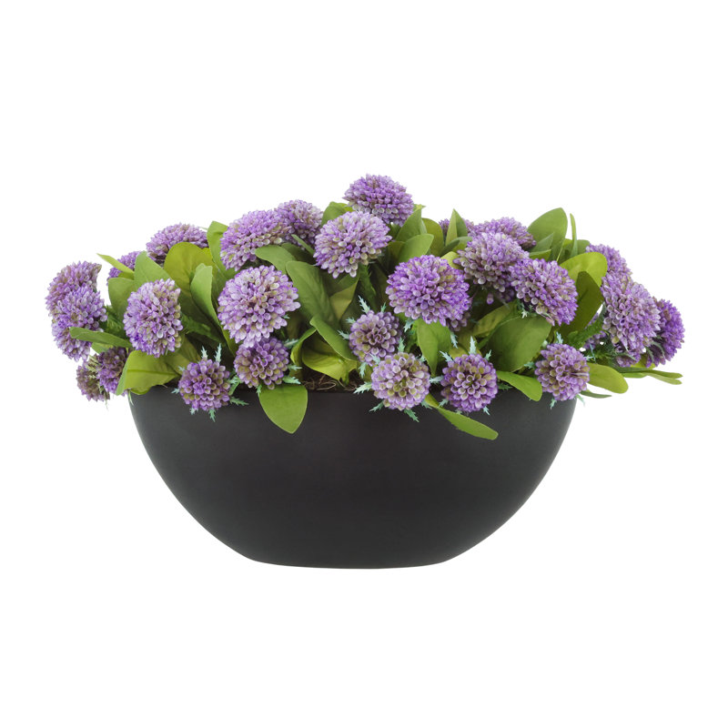 Dahlias Arranged in Fiberstone Pot