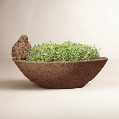 Renfri 12" Pot Planter