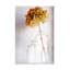 Blaise Montfort  Hydrangea Canvas Art-1646075978