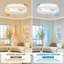 Ceiling Fan-384102275