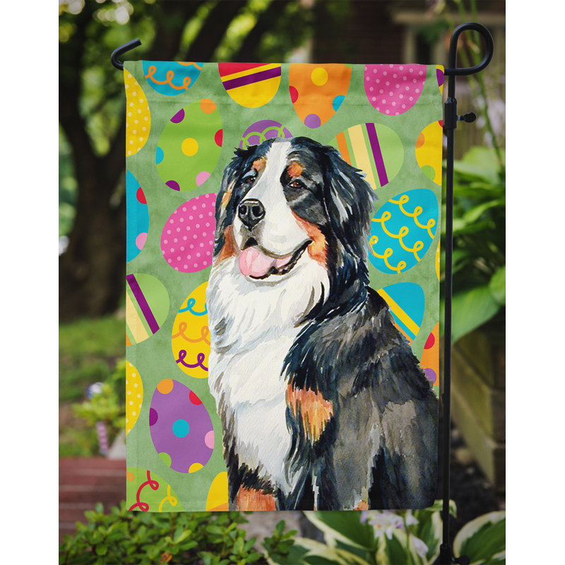 Drapeau de jardin Atara, Bouvier bernois