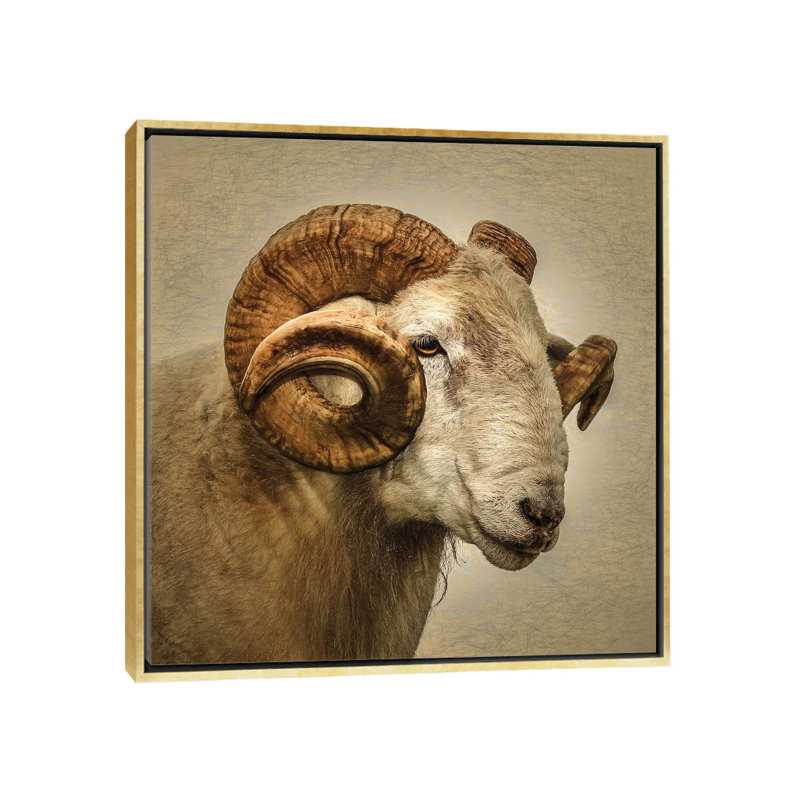« RAM » par Mark Gemmell-impression d’art graphique, Pas de tapis, H 18 po x l 18 po x 1,5 po, Toile encadrée d'or