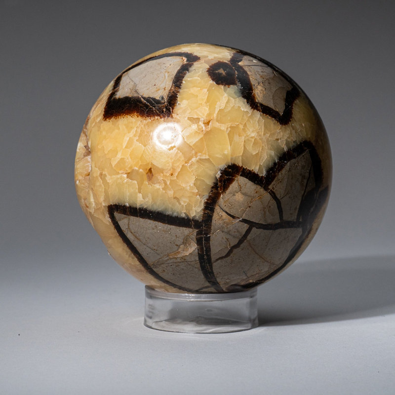 Genuine Polished Septarian (2") Sphere from Madagascar, 3.5" H x 3.5" W x 3.5" D, Yellow/ Gray