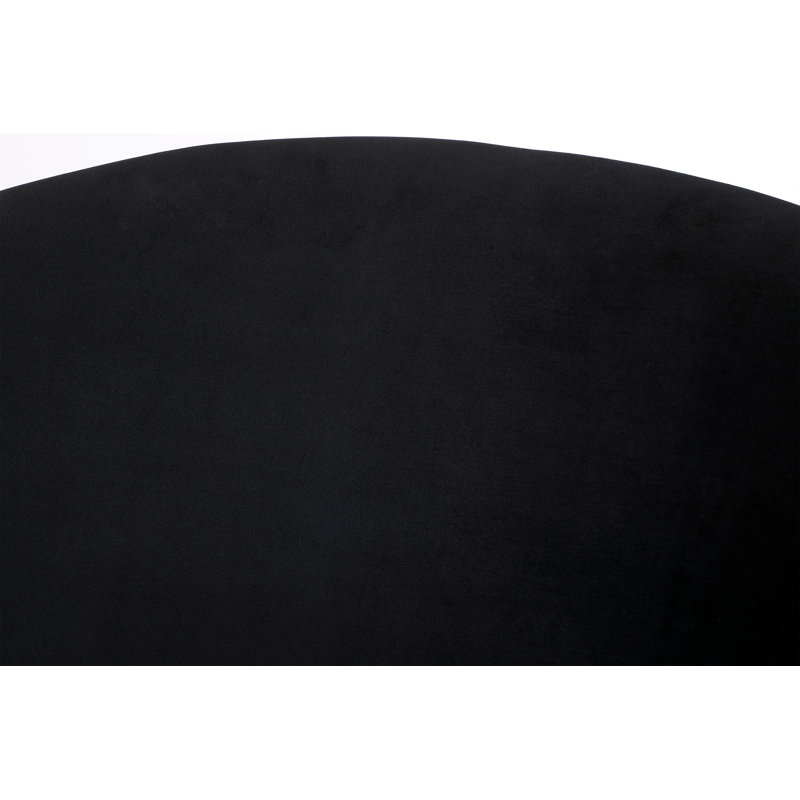 Chaise de salle à manger moderne, Noir, noir, noir, noir