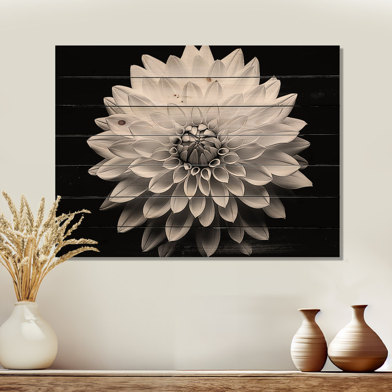 Dahlia In Monochrome Black And White - Dahlia Wood Wall Art On Natural Pine Wood, 30" H x 40" W