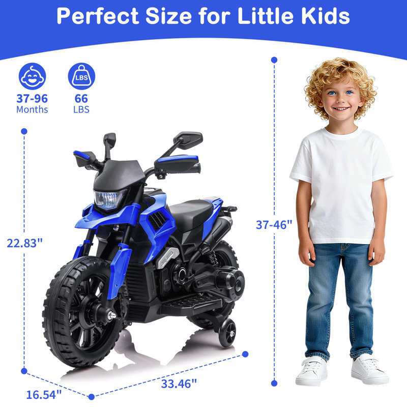 ZACOO Toy, 58cm H x 42cm W x 85cm L, Blue