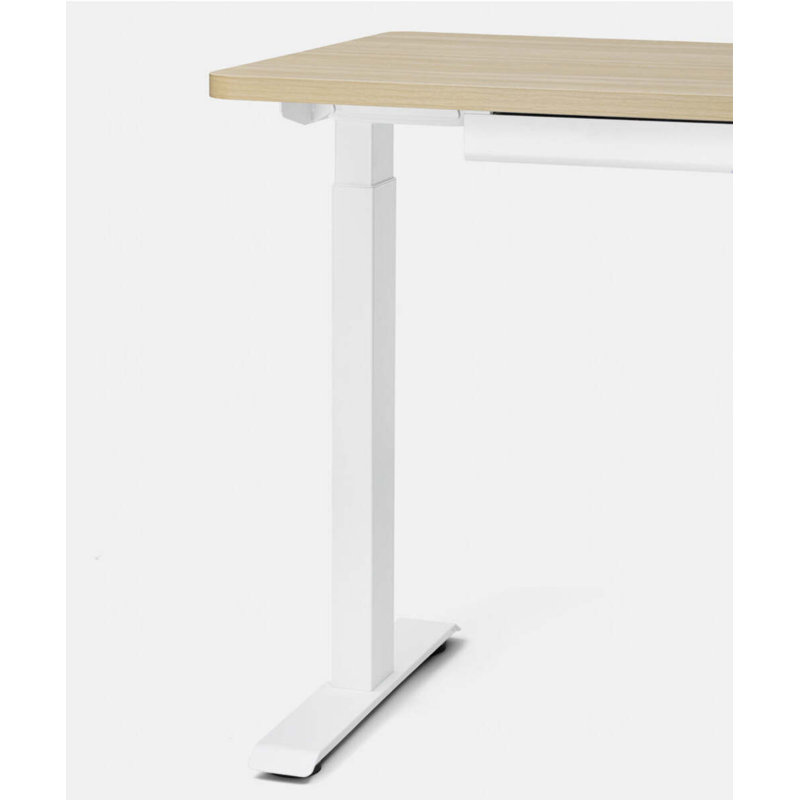 Duo Standing Desk, Woodgrain, 47.3" H x 48" W x 24" D, White