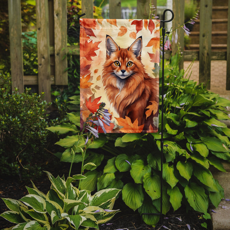 Chat en feuilles d'automne drapeau de jardin, Somali
