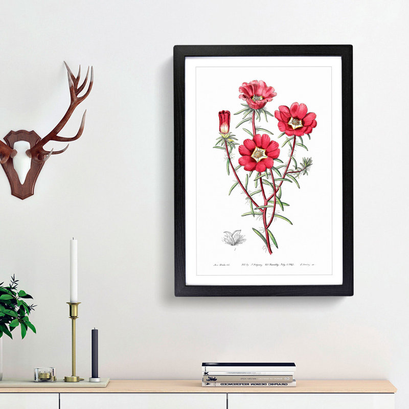 Pink Rose Moss Flowers - Framed Print, 48cm H x 36cm W x 2cm D, Black Framed