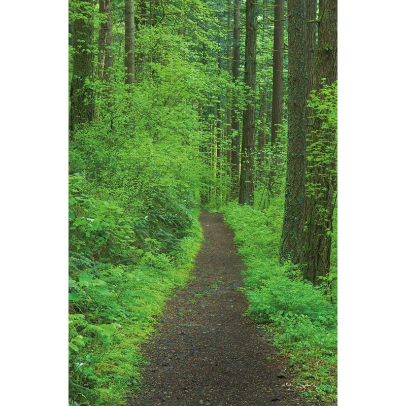 Sentier de randonnée pédestre dans les gorges du Columbia II, H 48 po x l 32 po x P 1,25 po