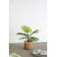 Palmier artificiel 31,5 "en pot