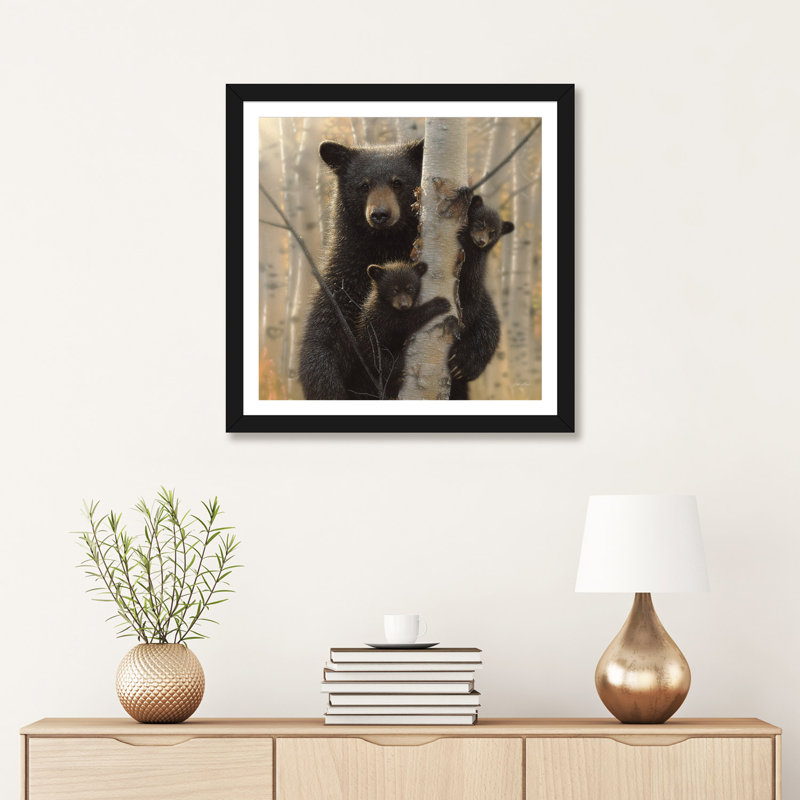 «Mama Black Bear» par Collin Bogle Print, H 24 po x l 24 po x P 1 po, Papier encadré noir