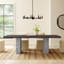 Torian Dining Table-713142610