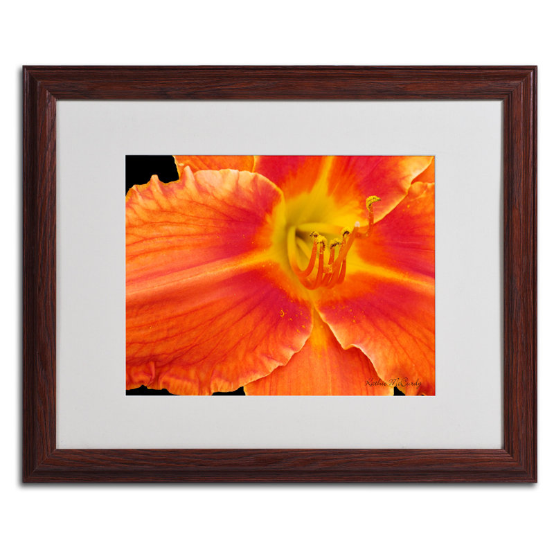 « orange day lily » par kathie mccurdy,, reproduction de photo encadrée, H 16 po x l 20 po x P 0,5 po, Brun - Biseautée