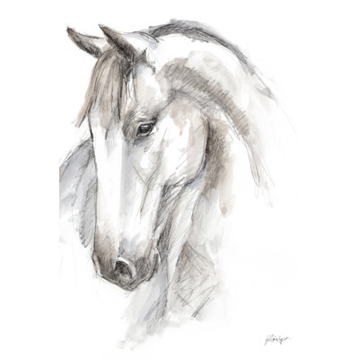 Equine Study II by Ethan Harper - Print