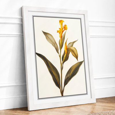 Golden Daffodil Study Botanical - Framed Print