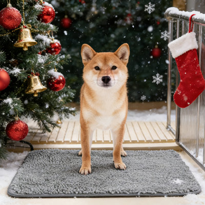 Absorbent Non-slip Dog Door Mat – Washable & Muddy Paw Friendly