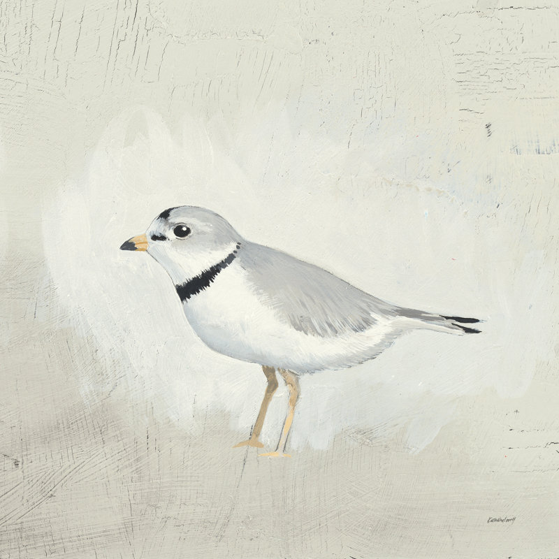 Oiseaux de mer IV, H 30 po x l 30 po