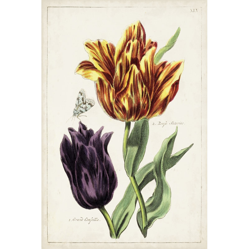 Tulip Classics III -  Painting, 122 cm H x 81 cm W, Black Floater Framed