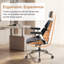 Fauteuil de direction ergonomique-792419882