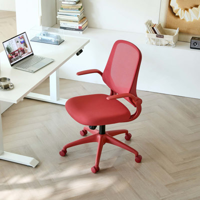 Fauteuil de bureau ergonomique et coloré 350LBS Home Office Mesh