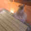 Customer photo 3 of 4