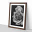 Rose Flower - Single Picture Frame Print on MDF-56864073-56864076