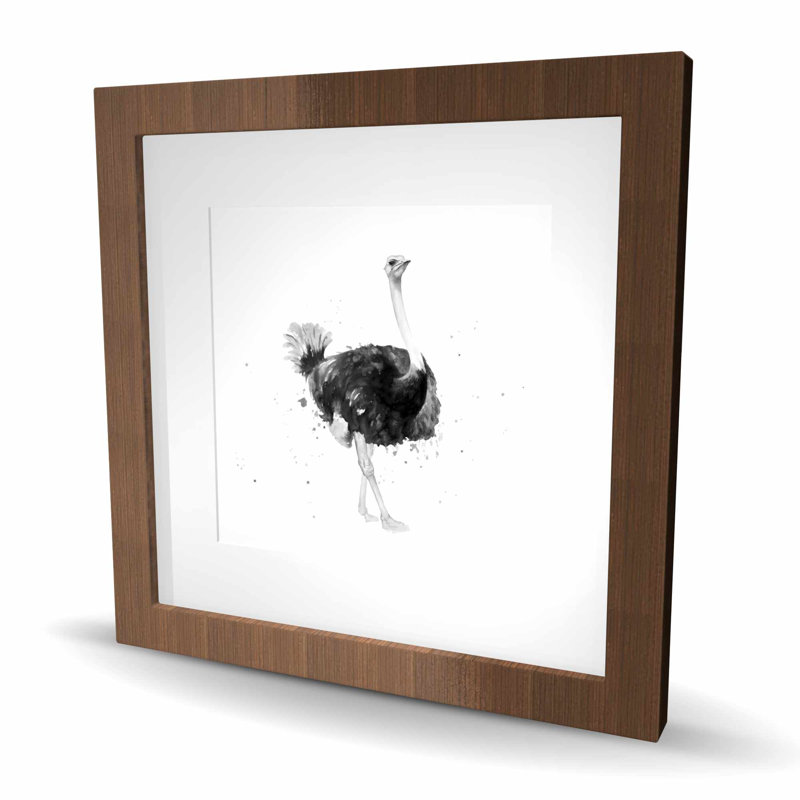 Proud autruche - décor de salon encadré noir et blanc, H 16 po x l 16 po, Brun