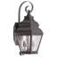 Luminaire suspendu pour lanterne murale d'extérieur 8 pouces 8 lumières - Abat-jour en verre transparent-101231125