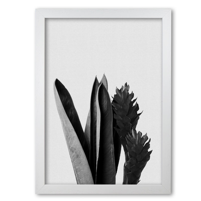 Flower Black & White - Print, 42 cm H x 30 cm W x 5 cm D, White Grain Frame