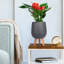 Concrete Effect Round Planter on Hardwood Legs, Round Indoor Plant Pot Stand for Indoor Plants, Indoor Flower Pot with Honeycomb Pattern-818477277-911390650