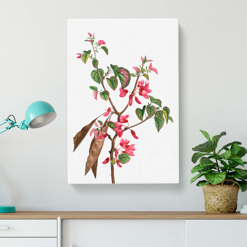 Pink Judas Tree Flowers by Pierre-Joseph Redoute - Wrapped Canvas, 50cm H x 35cm W x 3cm D