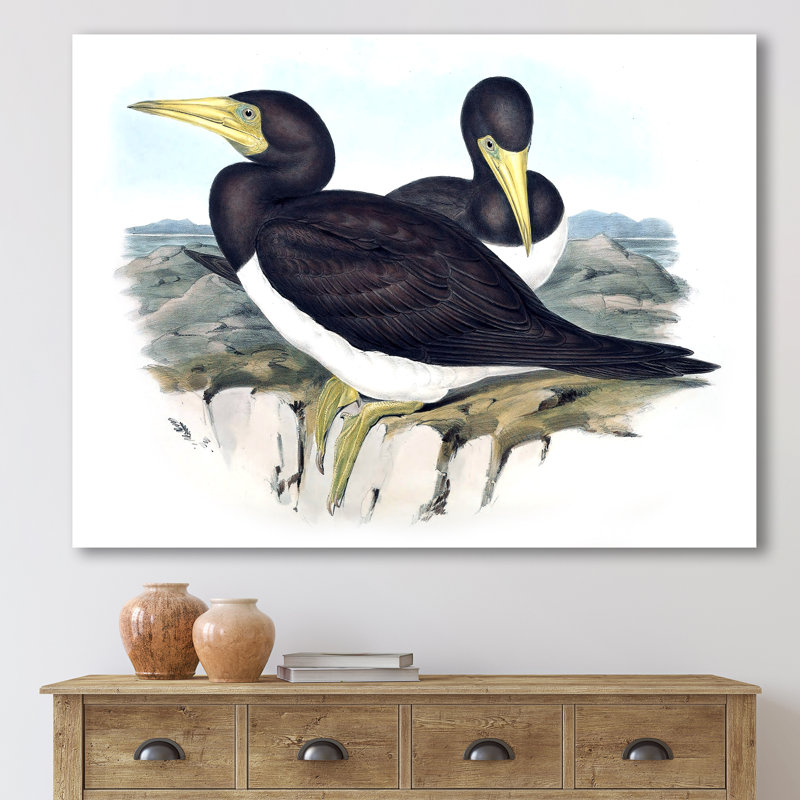 Oiseaux australiens d'époque rétro - impression sur toile, H 24 po x l 32 po x P 1 po, Toile tendue