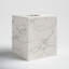 Paca Tissue Box Cover