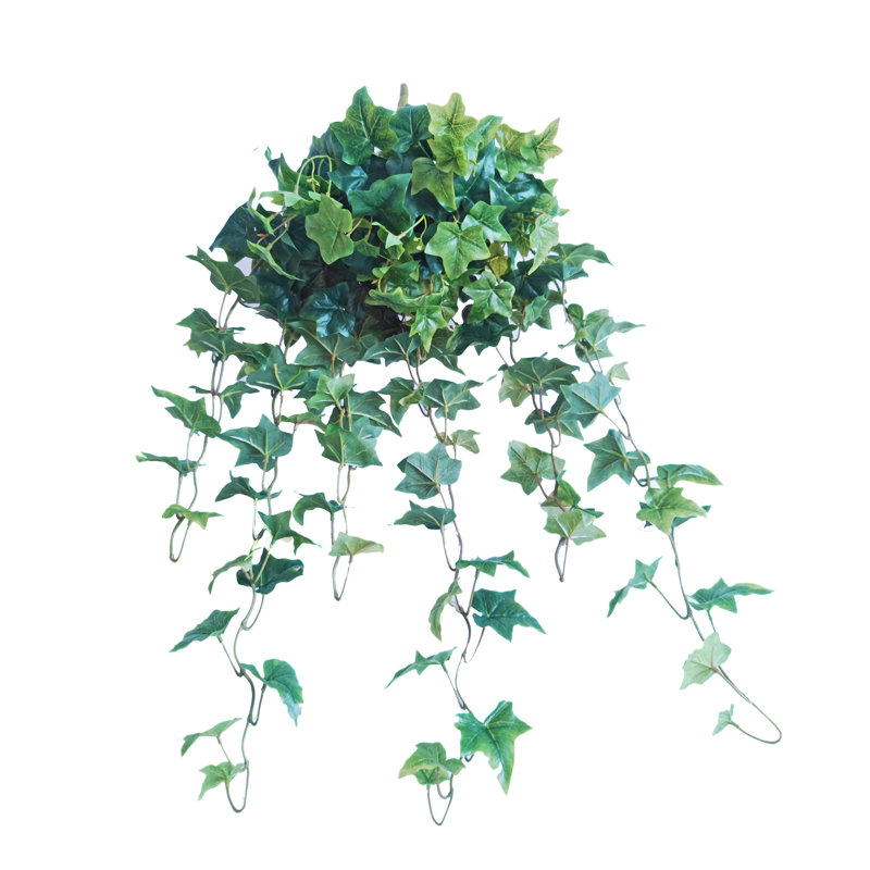 Faux Ivy Plant, 35" H x 22" W x 4" D