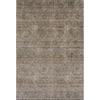 Premium Machine Washable Melvin AMF1170 Global Rug