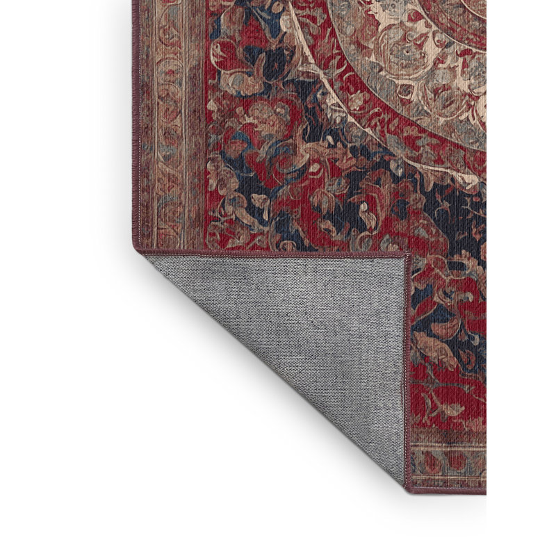 Machine Washable Brown Area Rug, Rectangle 5' x 7'