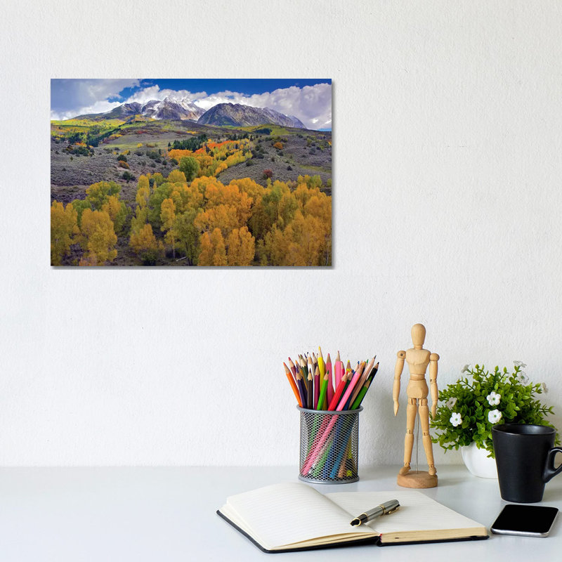 Fall Colors At Chair Mountain, Colorado by Tim Fitzharris - Wrapped Canvas Print, 20.32 cm H x 30.48 cm W