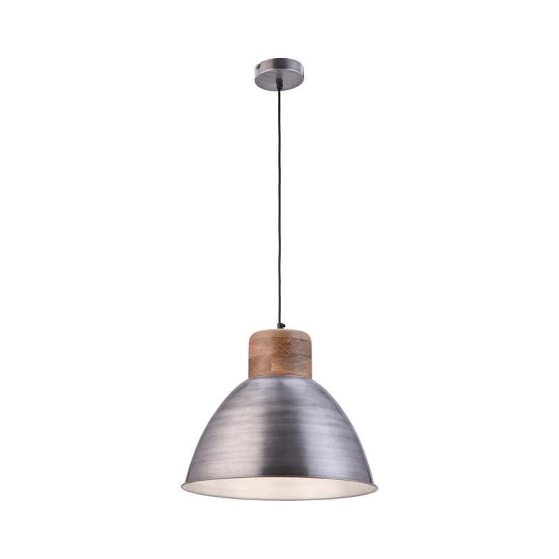 Mamie 1 - Light Iron Dome Pendant