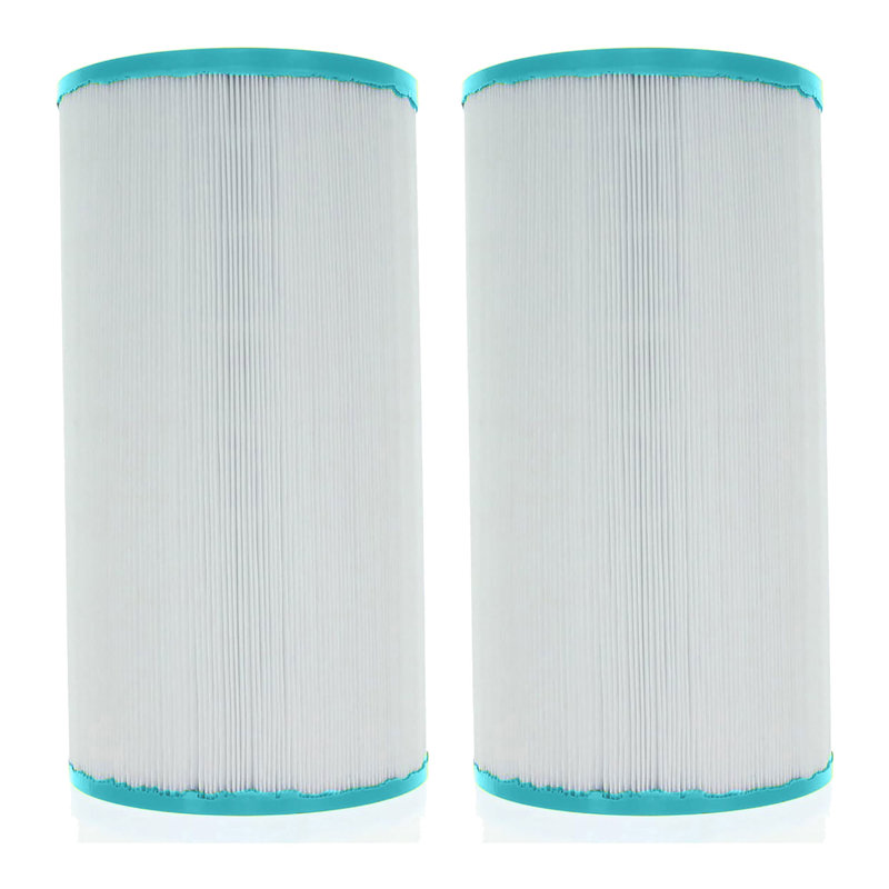 Cartouche filtrante de remplacement pour spa, Blanc
