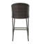 Tabourets de bar d'extérieur en rotin avec coussins imperméables 31 po Pe, ensemble de 2