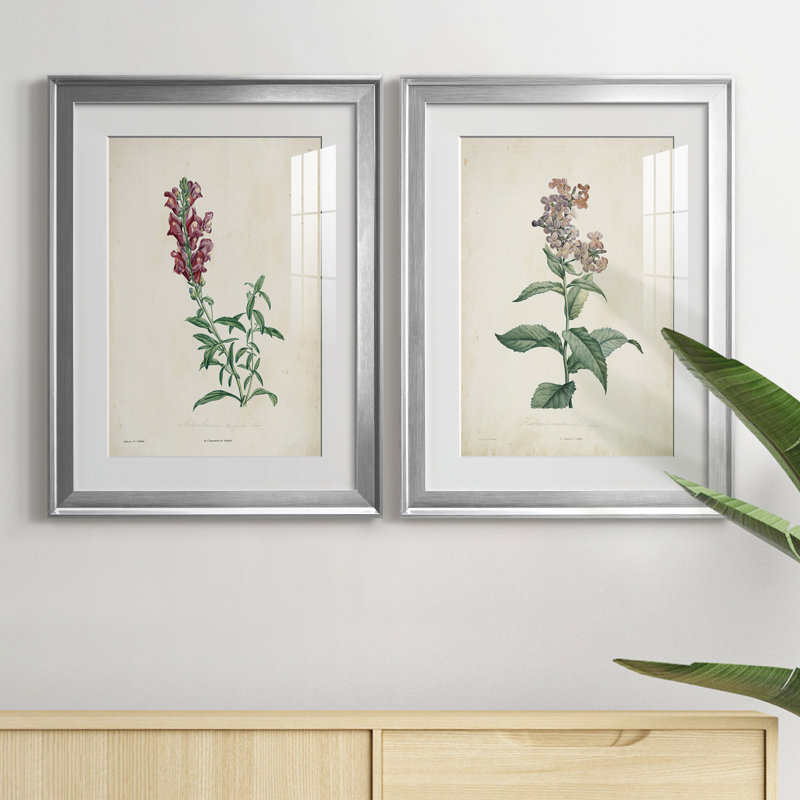 «Traditional Botanical I», reproduction encadrée de qualité supérieure, prête à être accrochée, H 30,5 po x l 45 po x P 1 po