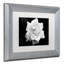 Modern & Contemporary-22947445-25775998-25775999