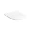 Compact Softclose Non Slamming Elongated Toilet Seat