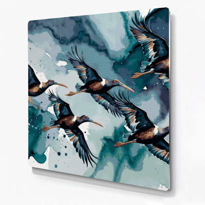 Oiseaux Hadada