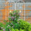 Paquet de 2 treillis de jardin en métal antirouille de 86,7 po x 19,7 po, blanc crème pour paquet de fleurs 86,7 po x 19,7 po, support à plantes d'extérieur